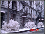 DSC03554