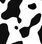 cow_03