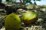 _DSC0103