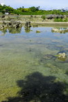 _DSC0121