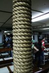 IMG_3504