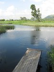 IMG_1699