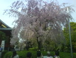 DSC00790