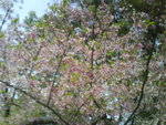 DSC00798