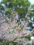 DSC00799