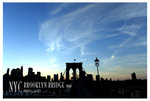 BROOKB_2009FR02