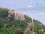 大頭洲 (14) - 麵包石
