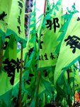 筲箕灣譚公誕 42
