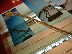 DSCF2368