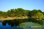 DSCF2744u