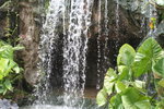 新加坡植物公園