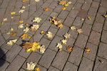 DSCF1270