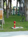 DSCN0341