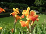 DSCN0377