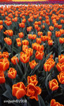 img174_up