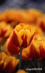 img182_up
