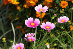 IMG_3521u