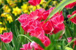 IMG_3559u