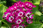 IMG_3566u