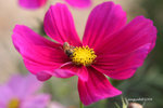 IMG_3587u