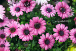 IMG_8547u