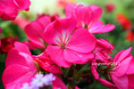 IMG_8657u