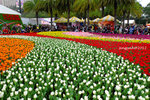 DSCF0288u
