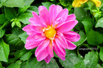 DSCF0300u