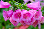 DSCF3604u