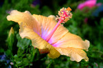 DSCF3613u