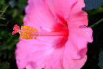 DSCF3618u