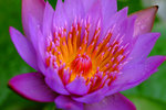 DSCF3619u