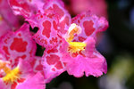 DSCF3623u