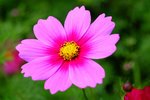 DSCF3631u