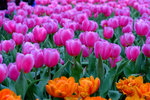 DSCF3649u