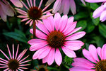 DSCF3665u