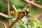 IMG_1029u