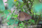 IMG_1111u