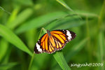 IMG_1114u