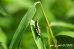 IMG_1140u