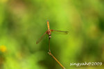 IMG_1158u