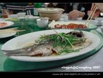 IMG_6059