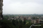 IMG_9320_up