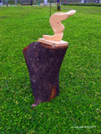 R0010381u