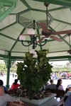 IMG_6076