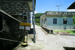 70960006
