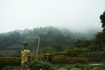 IMG_9185