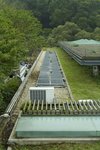 IMG_9201