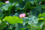 IMG_7037u