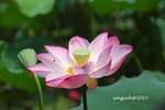 IMG_7044u
